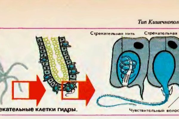 Кракен сайт kr2web in цены