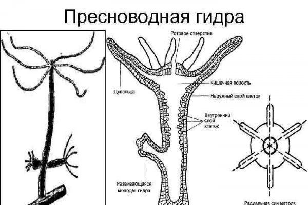 Кракен онион зеркала зеркало